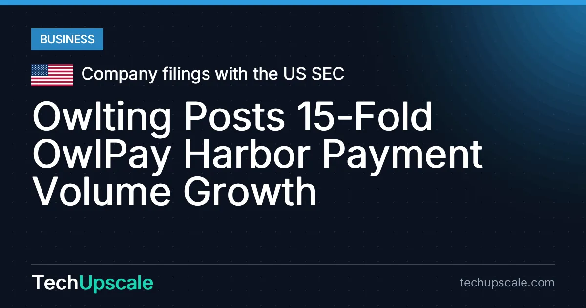 Owlting Posts 15-Fold OwlPay Harbor Payment Volume Growth. Source: Company filings with the US SEC